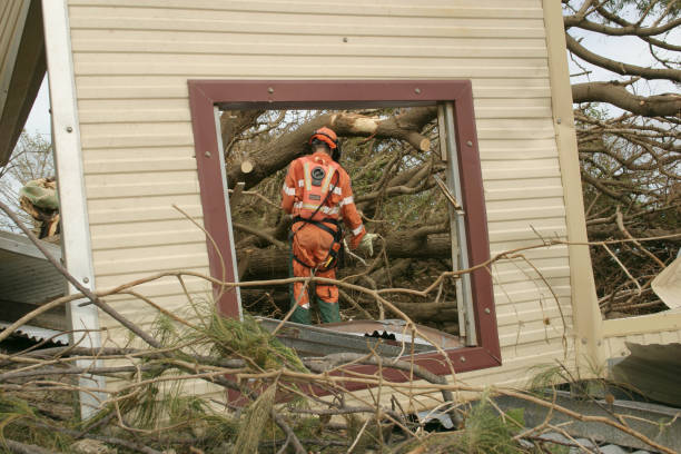 Trusted Macedonia, OH Tree Removal Experts